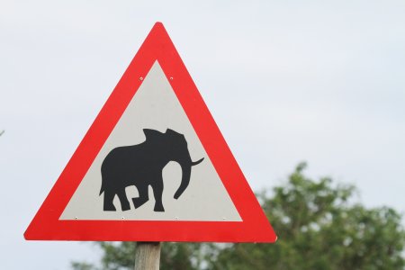 Дорожные знаки с животными