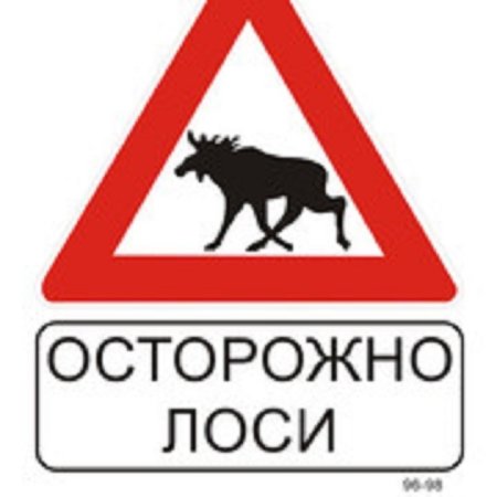 Дорожный знак Лось