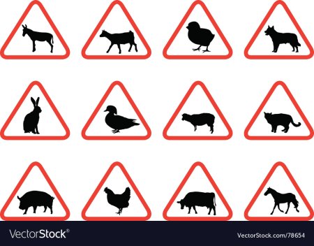 Предупреждающие знаки животные