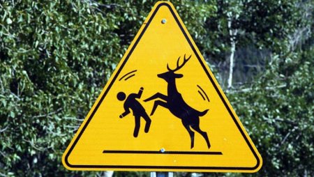 Дорожный знак олень