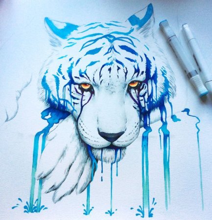 Олень для срисовки карандашом