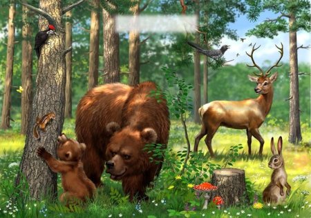 Животные в лесу для детей