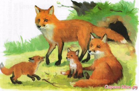 Лиса с лисятами Ушакова