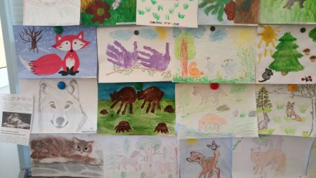Выставка рисунков животных