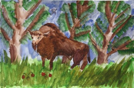 Рисование зубра