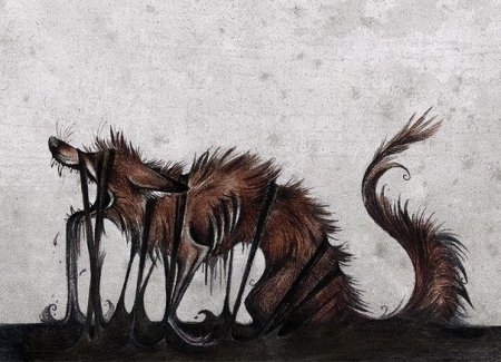 Culpeo Fox демон