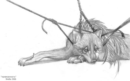 Зверь в цепях арт