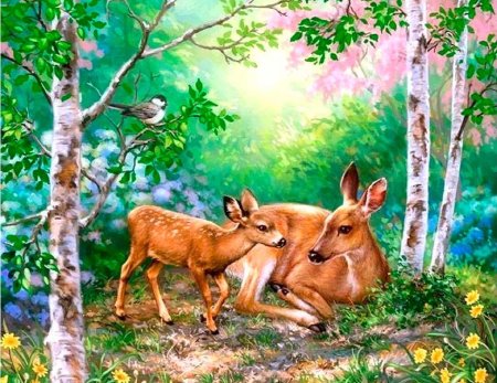 Иллюстрация природы и животных