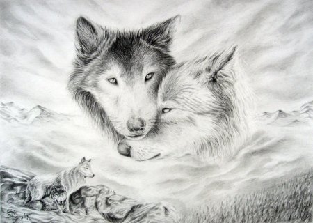 Картинки волка карандашом
