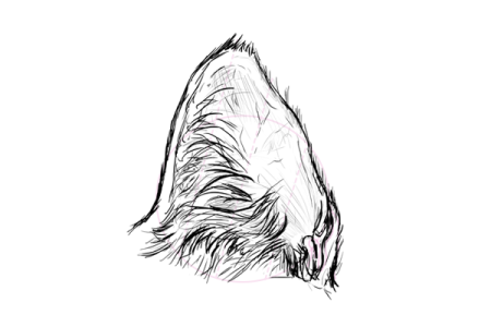 Рисование кошачьих ушей