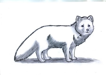 Коми-Пермяцкий округ орнамент