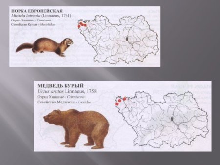 Рисунки ко Дню Югры