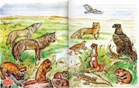 Животные живущие в степи России