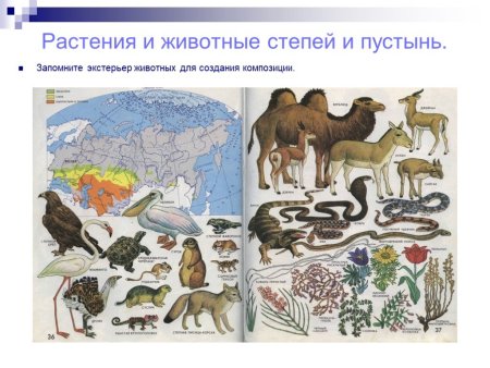 Животный мир мир степи