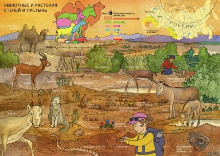 Рисование животных степей