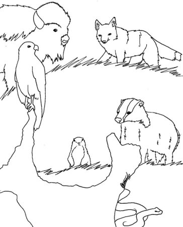 Природа Казахстана рисунки