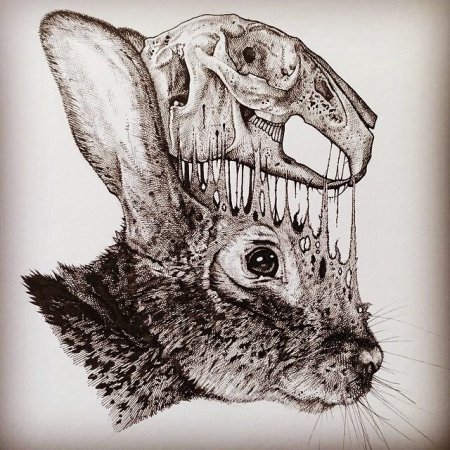 Caitlin Hackett художница
