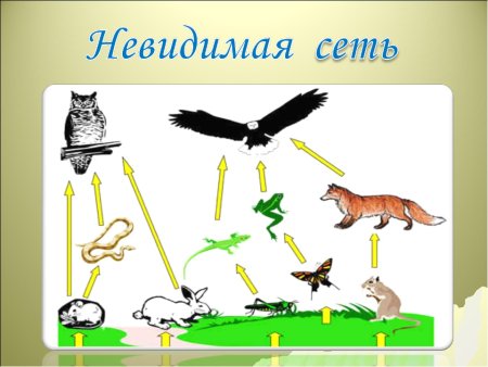Невидимая нить