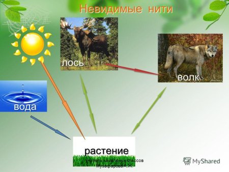 Невидимые нити схема