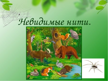 Взаимосвязь растений и животных