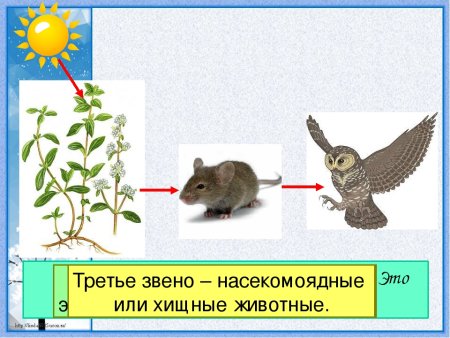Невидимые нити 2 класс