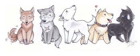 Волчонок рисунок для срисовки