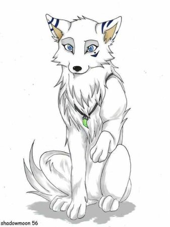 Картинки для срисовки аниме животные