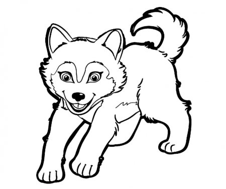 Волк раскраска для детей
