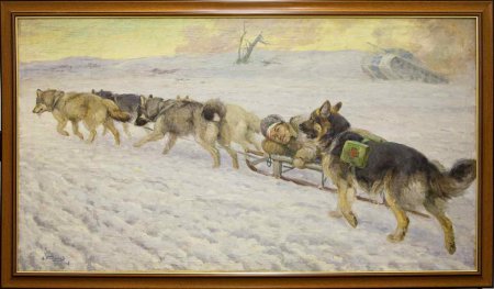 Собаки-санитары в Великой Отечественной войне