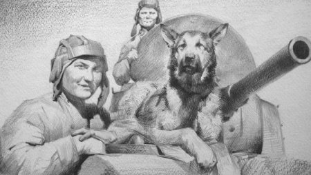 Рисунки животных на войне