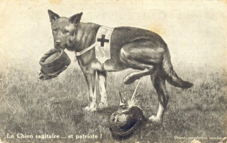 Иллюстрации собаки на войне