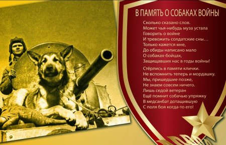 Собаки герои Великой Отечественной войны