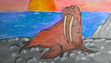 Раскраска морские обитатели