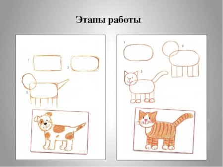 Рисование домашние животные старшая группа
