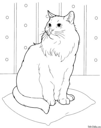 Кот раскраска для детей