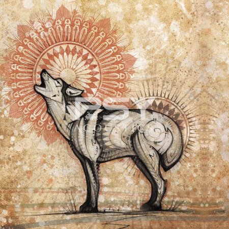 Знаки зодиака Джоди Бергсма