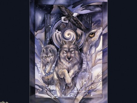 Тотемное животное Сова