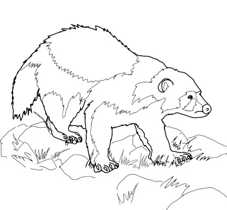 Белки Удмуртии