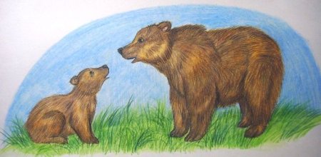 Дикие животные