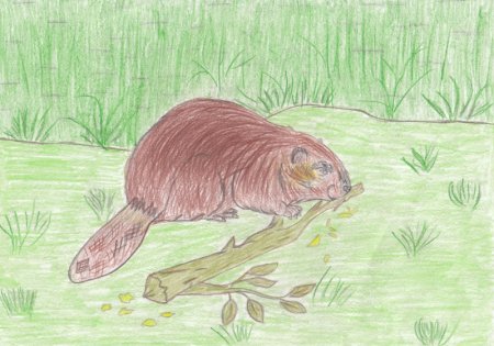 Лось гуашью