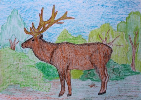 Рисунок животного