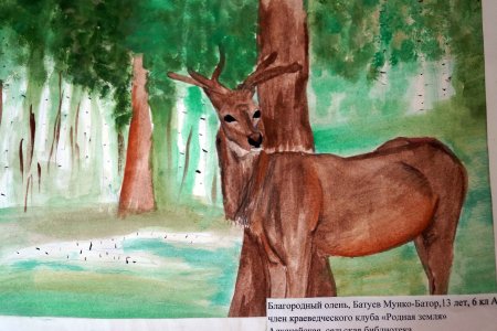 Лось для детей