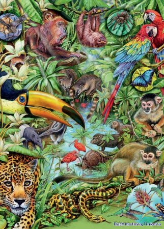 Пазл Heye 1000 деталей: тропическое дерево