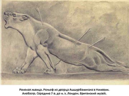 Волк лежит карандашом