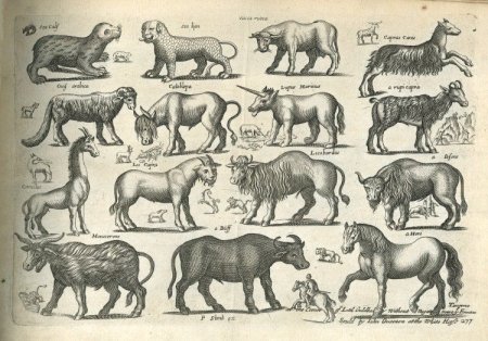 Старинные звери