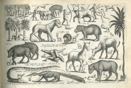 Старинные изображения животных