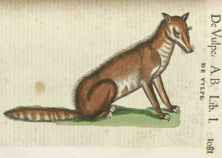 Конрад Геснер Historiae Animalium