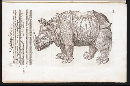 Конрад Геснер история животных