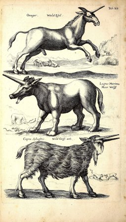 Книга Яна Йонстона "описание чудес природы".