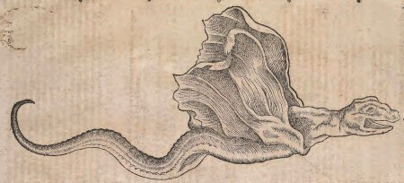 Конрад Геснер иллюстрации